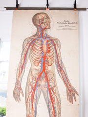 Medical Chart