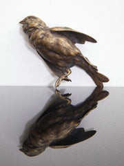 Bronze Finch Paperweight