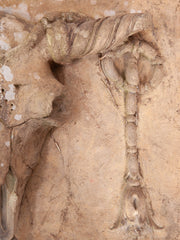 Terracotta Skull