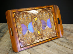 Brazilian Butterfly Tray