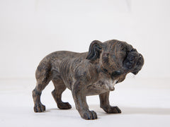 Cold Painted Bronze Bulldog