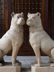 A Pair of 19th Century Terracotta Seated Mastiffs