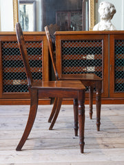 A Pair of 19th century Mahogany Hall Chairs