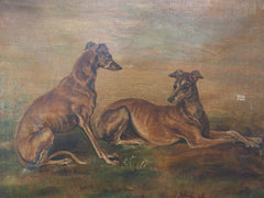 A Pair of Lurchers