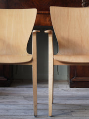 Philip Starck Chairs
