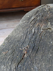 A Rustic Tree Seat
