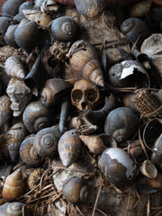 Kongo yombe power figure